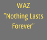 WAZ
“Nothing Lasts Forever”
