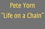 Pete Yorn
“Life on a Chain”

